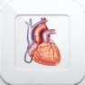 Get 1000 Heart & Coronary Disease for iOS, iPhone, iPad Aso Report