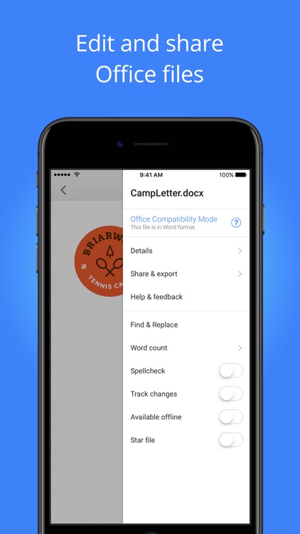 Google Docs screenshot-2