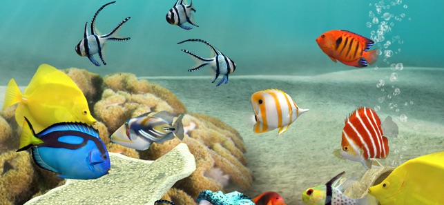 MyReef 3D Aquarium 3(圖4)-速報App