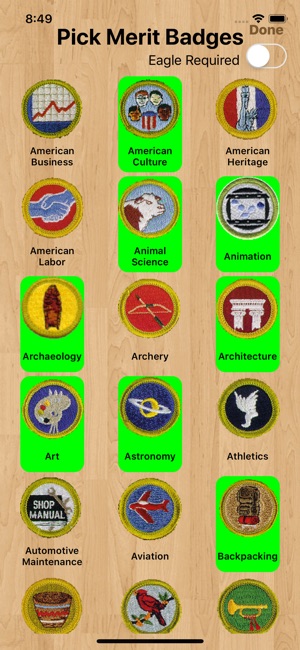 Scouts & Merits - Merit Badges(圖5)-速報App