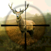 Hunting Simulator - Kristian Stensoenes