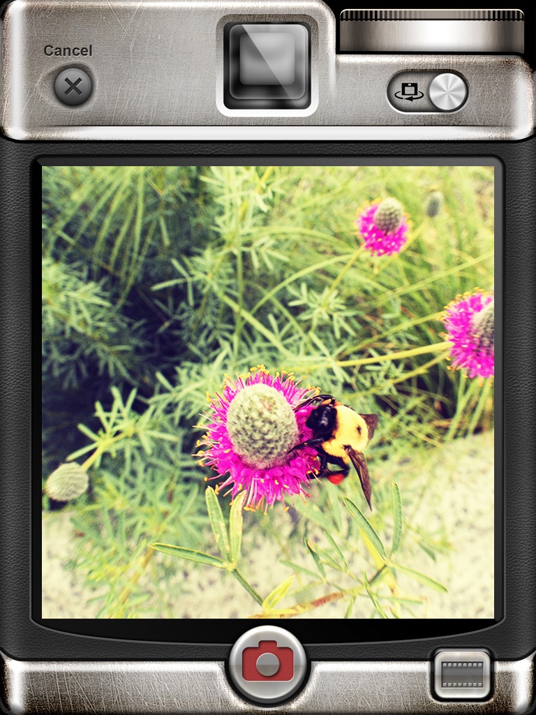 Vintage Camera for iPad screenshot 2
