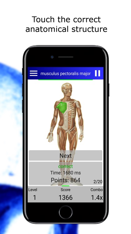 Anatomy Quiz lite