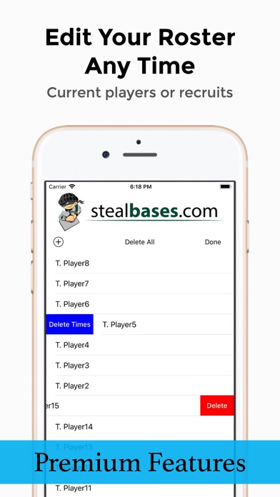 Steal Bases screenshot 2