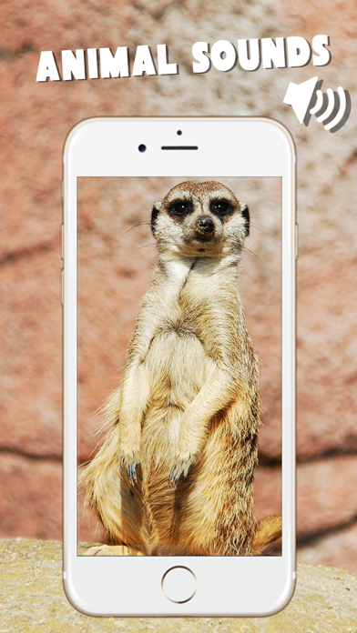 How to cancel & delete Animal sounds recognize animal from iphone & ipad 1