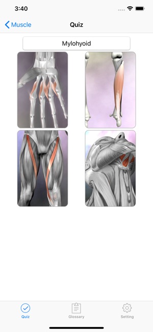 Anatomy Quizzes(圖3)-速報App