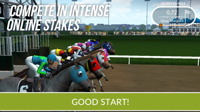 Photo Finish Horse Racing: Quest for the Cup Screenshot 2