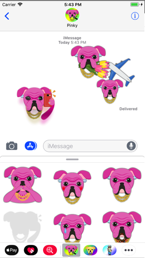 Pink Bling Hip Hop Bulldog(圖2)-速報App