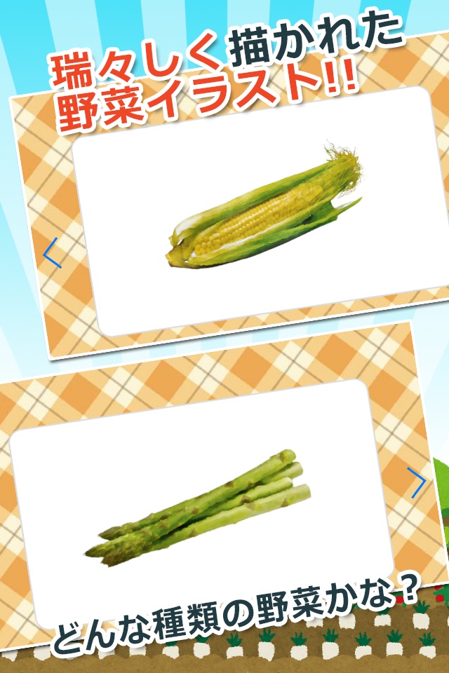 みんなの野菜カード screenshot 2