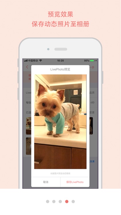 随手动态壁纸 screenshot-3