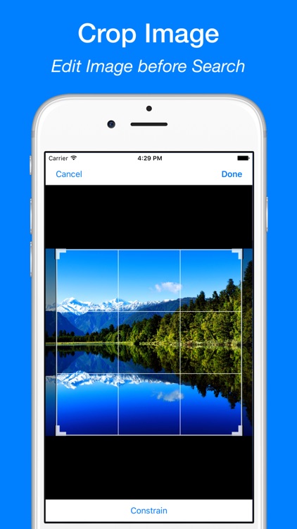 Reverse Image Search