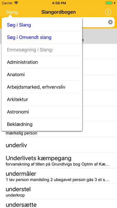 How to cancel & delete Danish Slang Dictionary from iphone & ipad 4