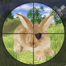 Activities of Wabbit Hunter 2018