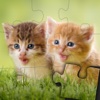 Cats & Dogs Jigsaw Puzzles for kids & toddlers