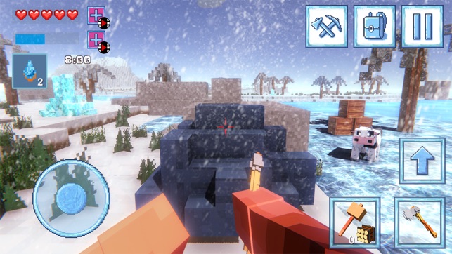 Survival 3D Winter Block(圖1)-速報App