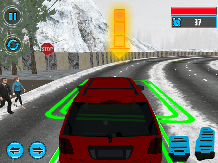 Prado Luxury Car Driving Race