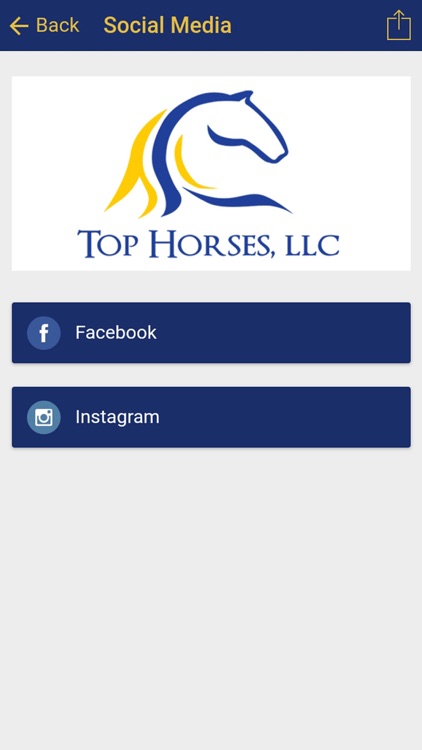 TopHorses LLC