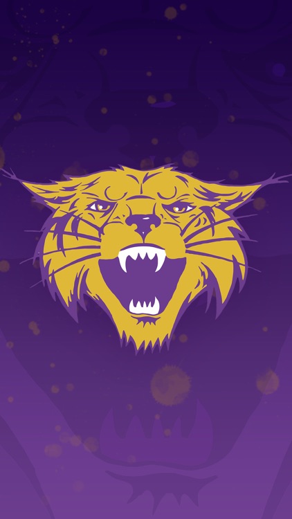 Bethel University Athletics