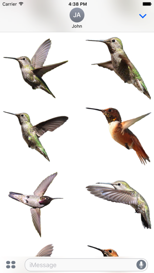 Hummingbirds - Large (Retina)(圖5)-速報App