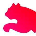 Formation Puma