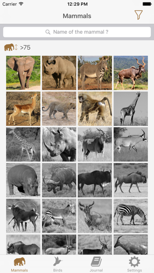 African Safariguide Lite(圖1)-速報App