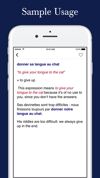 Mastering French Idioms screenshot 3