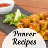 Paneer Recipe in English