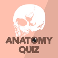 Activities of Anatomy & Physiology Quiz