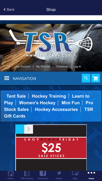 TSR Hockey screenshot 4