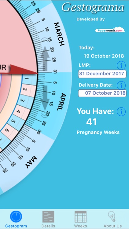 Pregnancy Gestogram