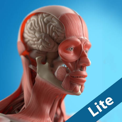 Anatomy Game Anatomicus Lite iOS App