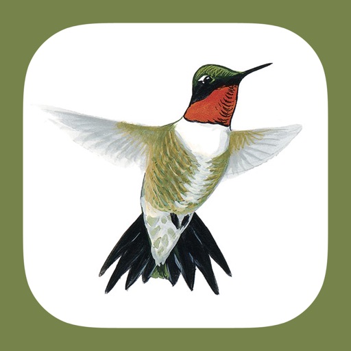 Sibley Guide to Hummingbirds iOS App