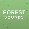 ASMR Sounds - Forest