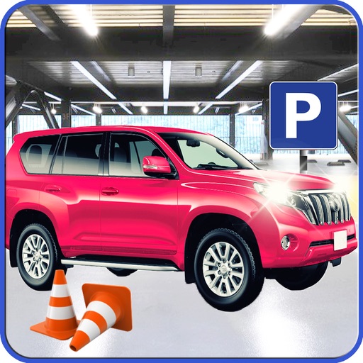 Drive Test Prado Parking icon