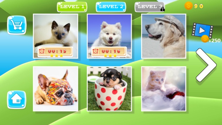 Puzzle Pets Dogs Cats Game screenshot-4