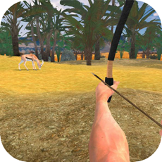 Activities of Archery Shooting Quest