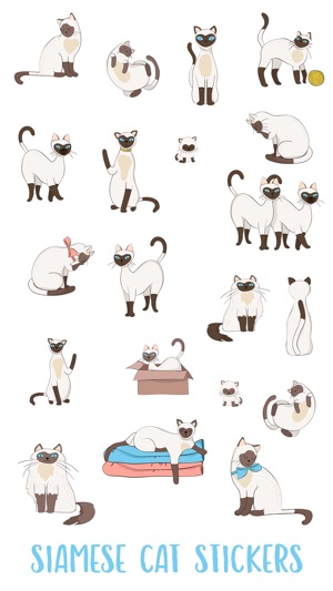 Siamese Cat(圖1)-速報App