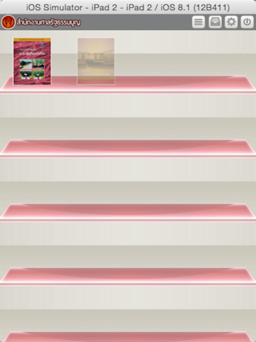Constitutionalcourt eBook - náhled