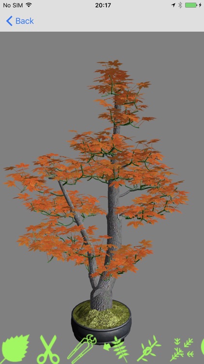 Bonsai Master screenshot-3