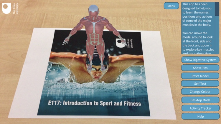 E117 Introduction to Sport