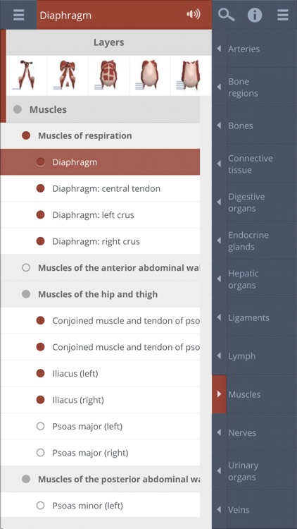 Abdomen: 3D Real-time