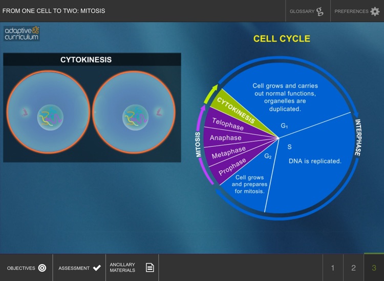 From One Cell to Two: Mitosis screenshot-3