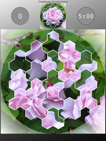 TriadHexagonPuzzle Flower screenshot 3