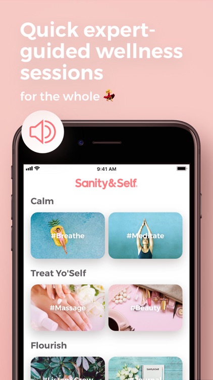 Sanity & Self: Guided Selfcare