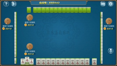 泉乐济南麻将 screenshot 3