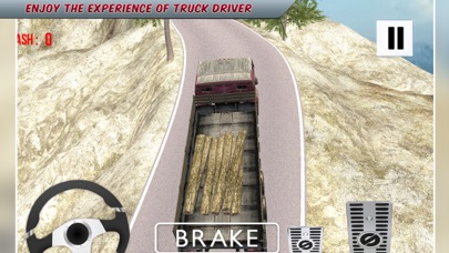 Extreme Cargo Truck Climb screenshot 3