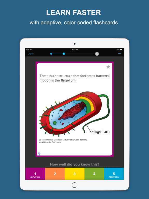 Brainscape - Smart Flashcards | App Price Drops