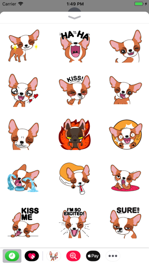 Winky the Chihuahua(圖2)-速報App