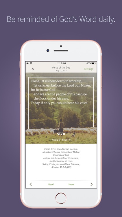 Bible by Olive Tree
