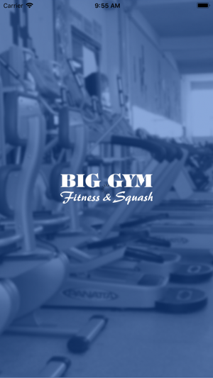 Big Gym